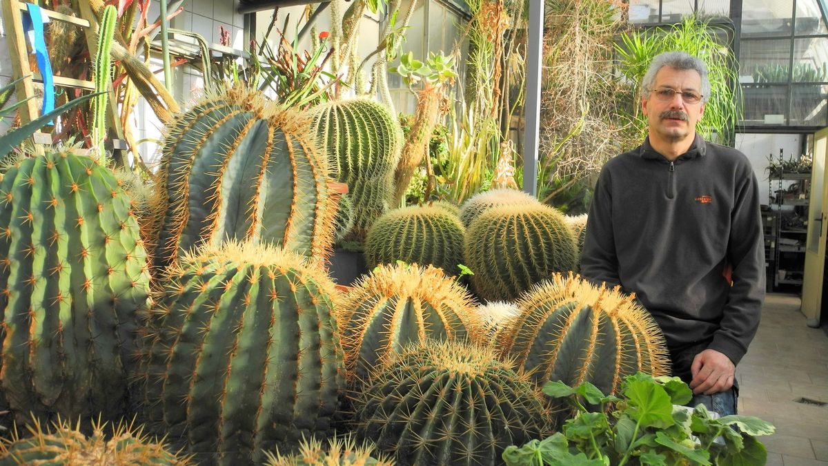 Ceny energií likvidují jednoho z největších českých pěstitelů kaktusů